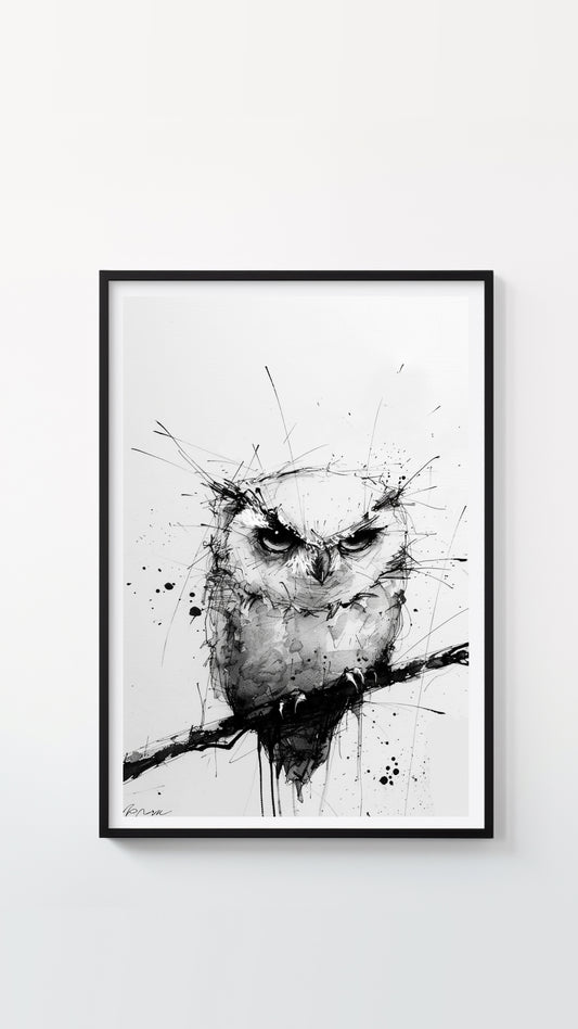 Owl